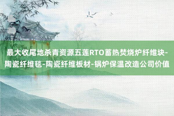最大收尾地杀青资源五莲RTO蓄热焚烧炉纤维块-陶瓷纤维毯-陶瓷纤维板材-锅炉保温改造公司价值
