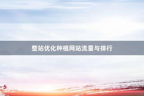 整站优化种植网站流量与排行