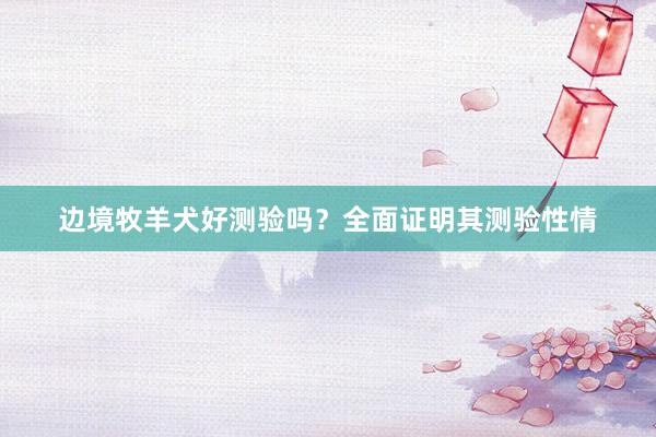 边境牧羊犬好测验吗?全面证明其测验性情